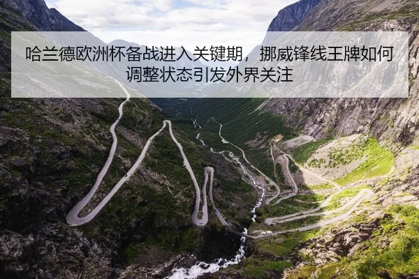 哈兰德欧洲杯备战进入关键期，挪威锋线王牌如何调整状态引发外界关注